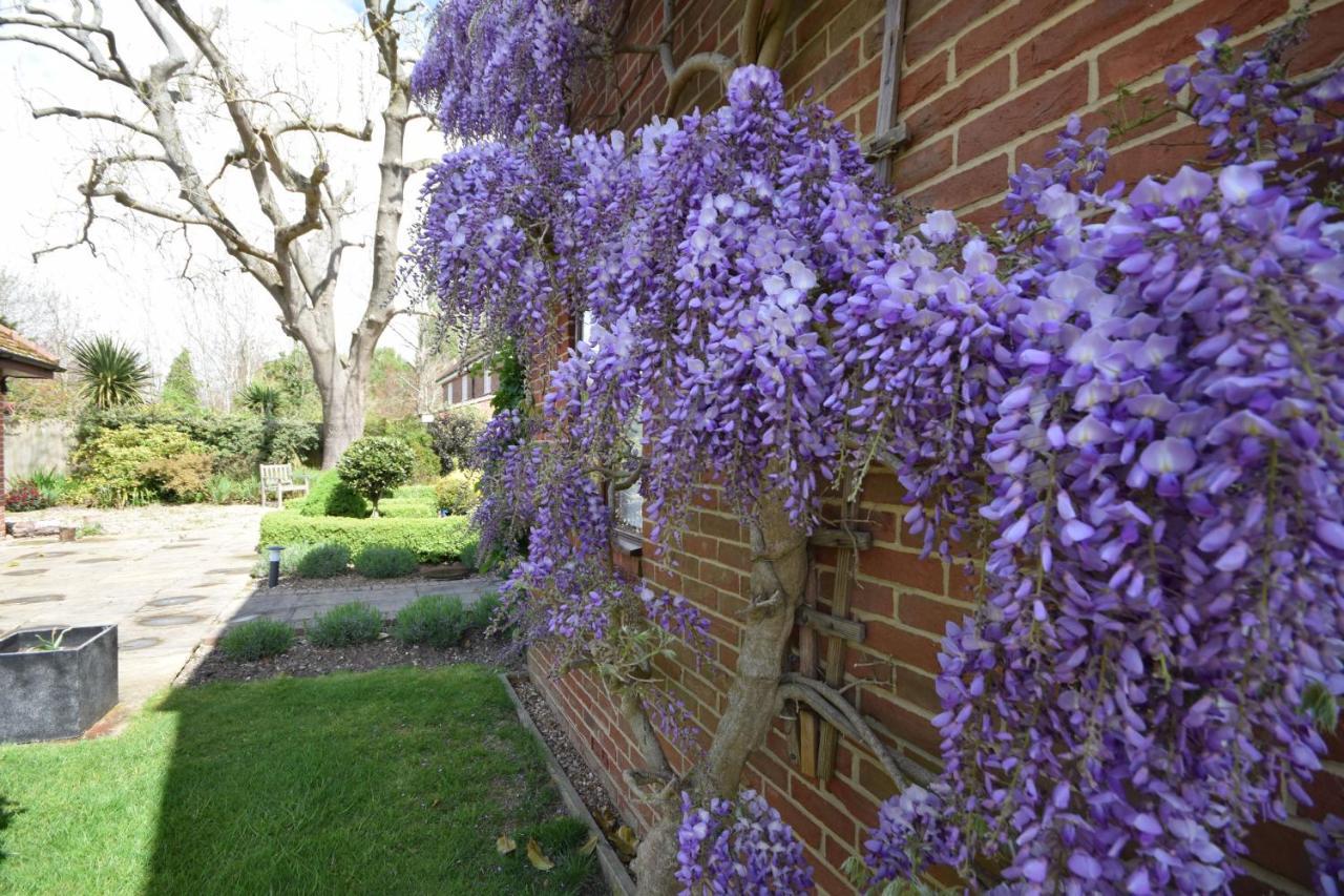 Wisteria Way, Tangmere Extérieur photo